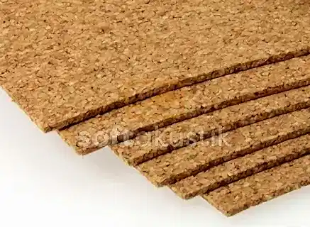 mantar-silte-ozellikleri