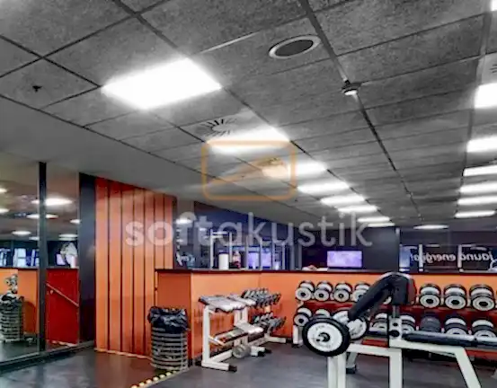 ahsap-yunu-muzik-studyolari