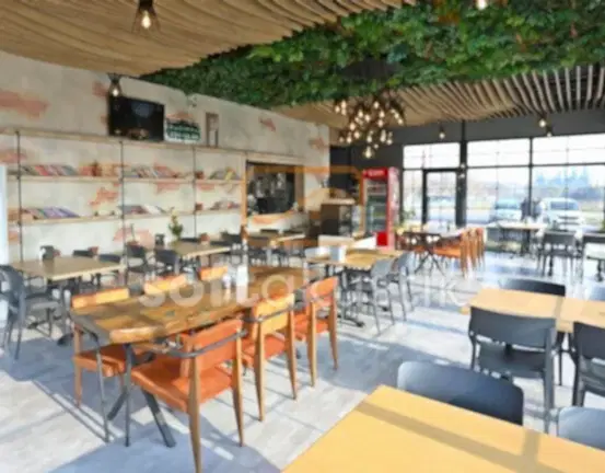 cafe-ses-yalitimi-ve-gurultu-kontrolu