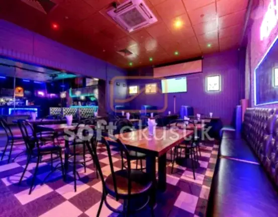 disco-bar-ses-yalitimi-ve-sinema-salonu-cozumleri