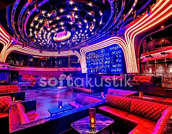 disko-akustigi-ve-yanki-kontrolu