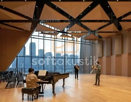 enstruman-odasi-akustigi-ve-muzik-egitimi-cozumleri