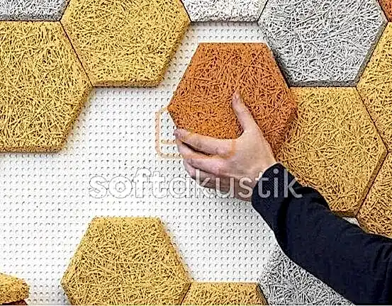 konservatuar-akustigi