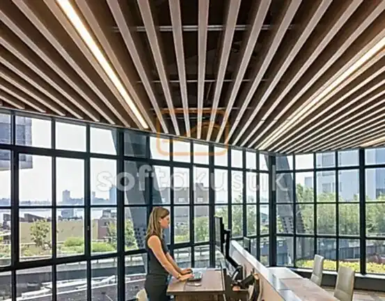 restaurant-ses-yalitimi-nedir