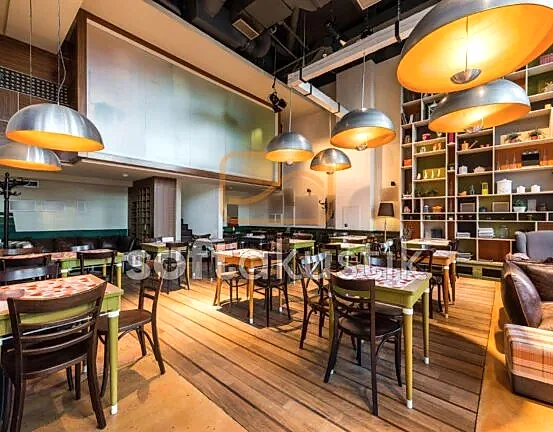 restaurant-ses-yalitimi-ve-modern-tasarim-cozumleri