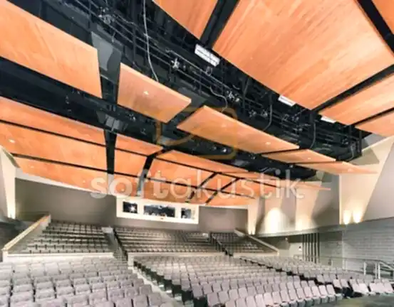 tiyatro-salonu-akustigi-ve-bireysel-performans-odalari