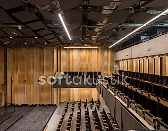 tiyatro-salonu-akustigi-ve-yanki-kontrolu