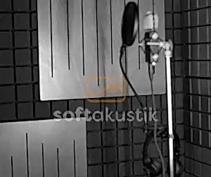 vicoustic-sunger-300x281